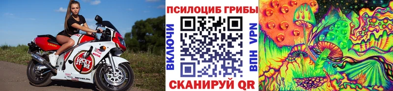 Псилоцибиновые грибы Psilocybe  дарк нет наркотические препараты  Красный Кут 